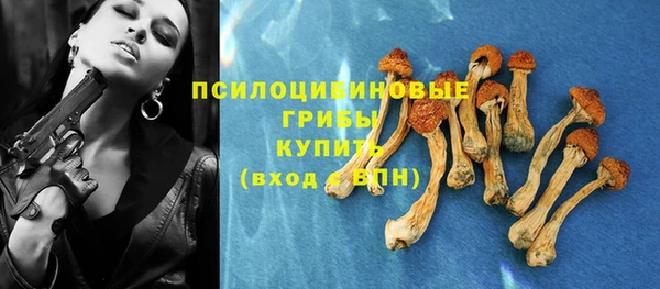 винт Медногорск