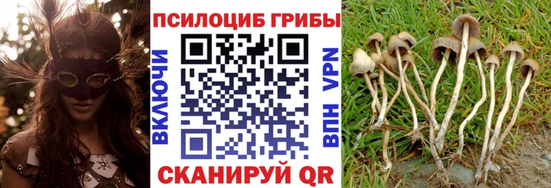 Галлюциногенные грибы MAGIC MUSHROOMS Зверево